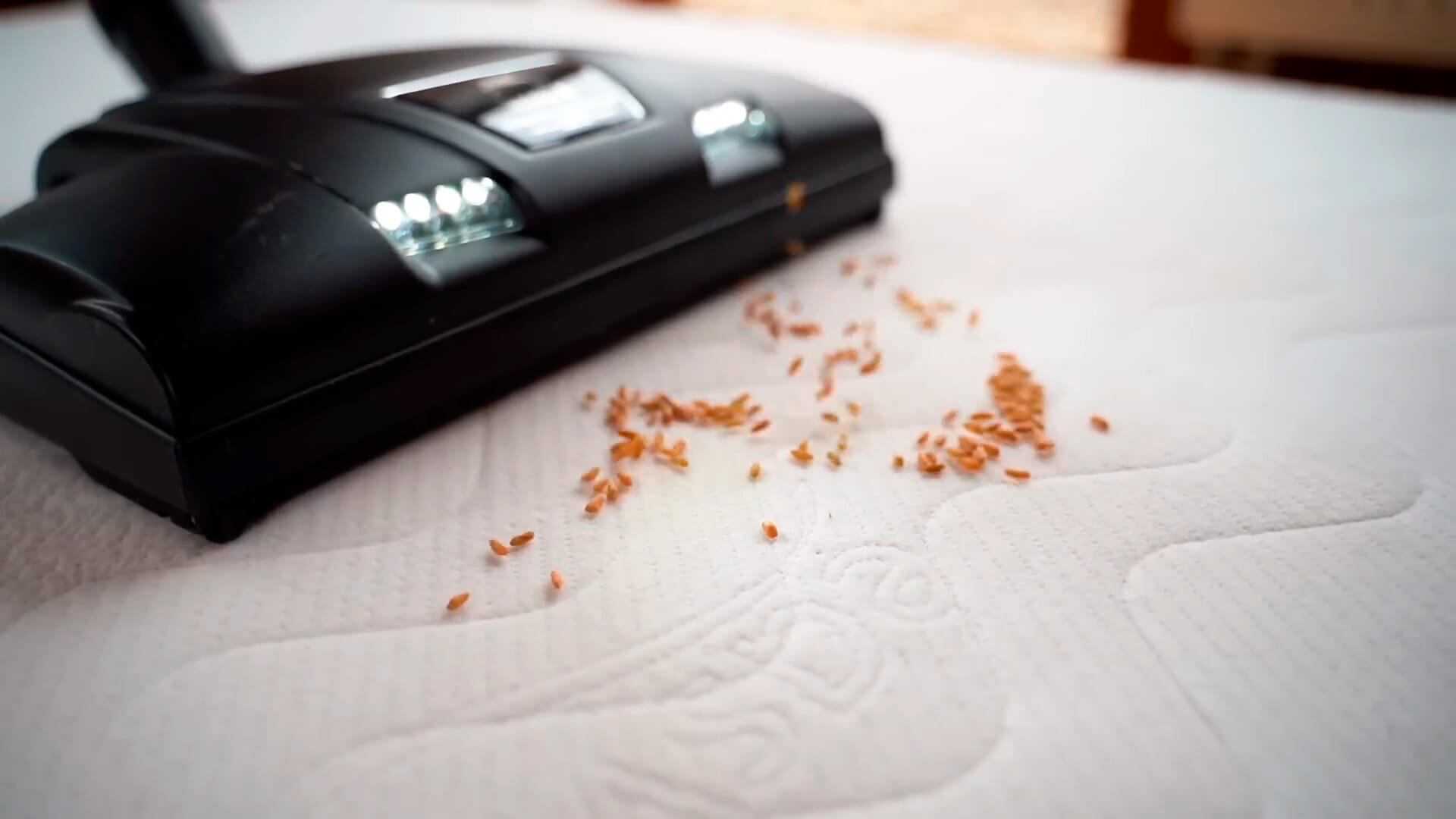 Aspirador de sofá Hyla para remover sujeira invisível Aspirador de sofá Hyla para remover sujeira invisível