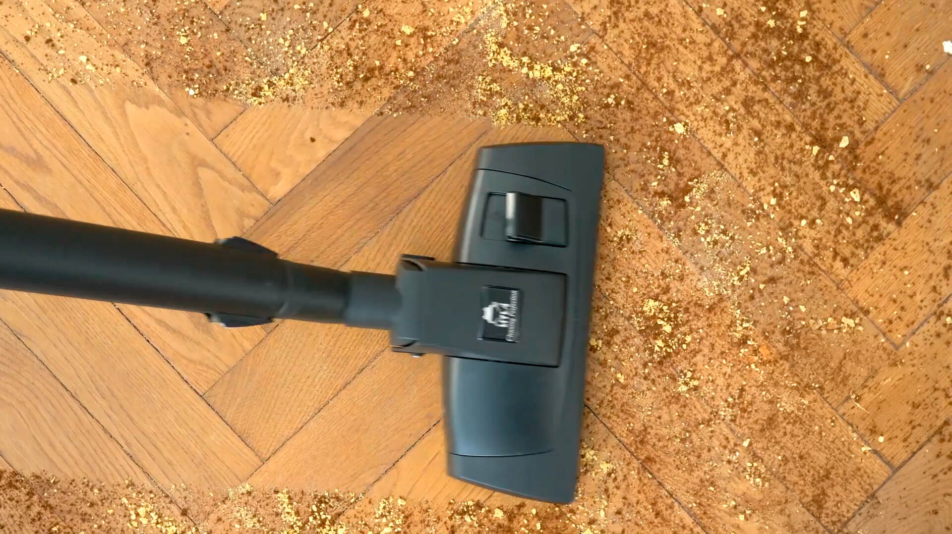 Tecnologia de limpeza Hyla que purifica o ar e a casa Tecnologia de limpeza Hyla que purifica o ar e a casa